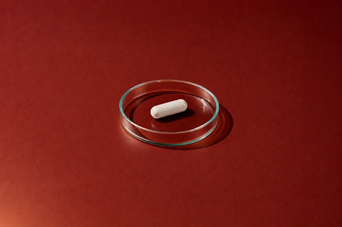 The Power of Two: Why Zygo Combines Acetyl L-Carnitine and L-Carnitine for Male Fertility